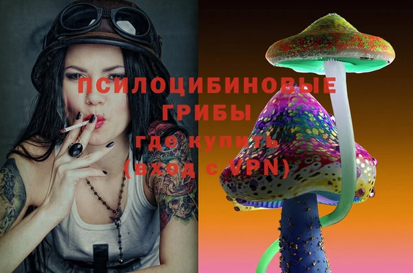 молекула духа Богородск