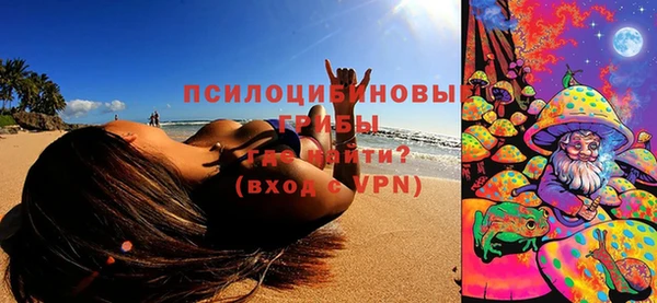 ешки Слюдянка