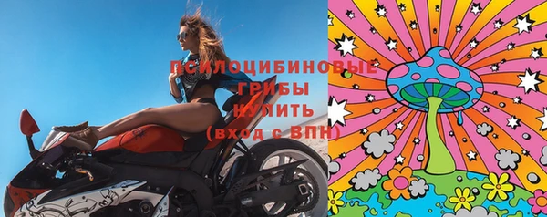 стаф Богородицк