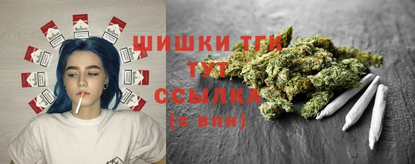 ешки Слюдянка