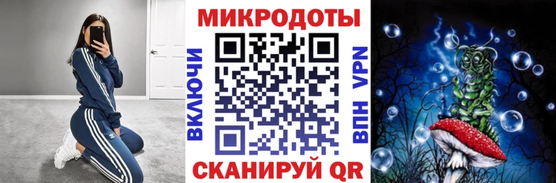Псилоцибиновые грибы Psilocybe  Михайловск 